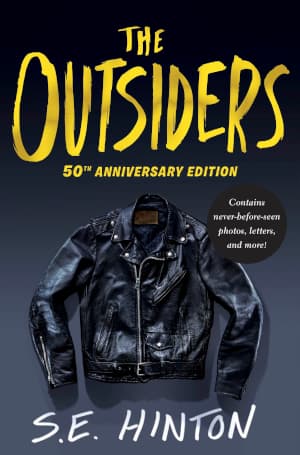 Movie poster for The Outsiders (Lions)
