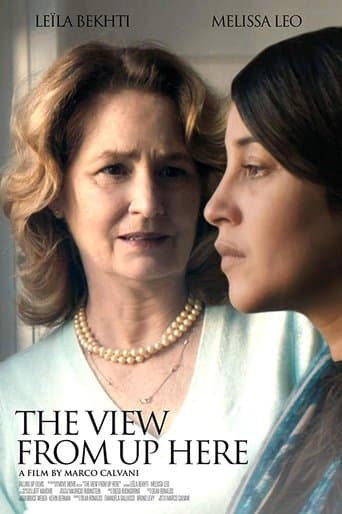 Movie poster for The View from Up Here