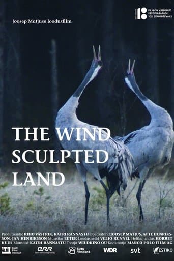 Movie poster for The Wind Sculpted Land
