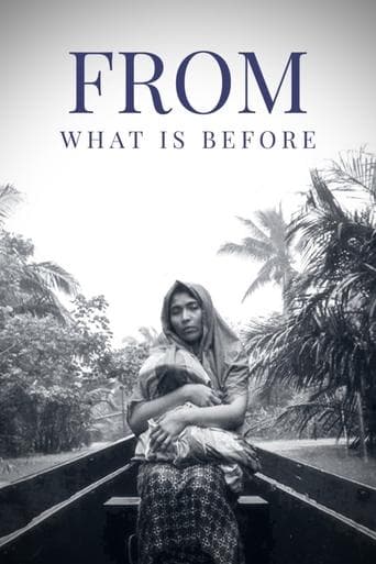Movie poster for From What Is Before