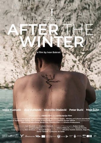 Movie poster for After the Winter