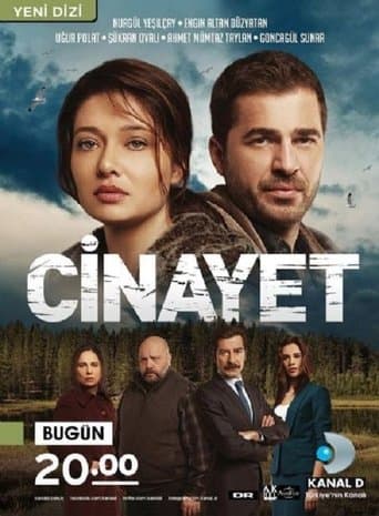 Movie poster for Cinayet