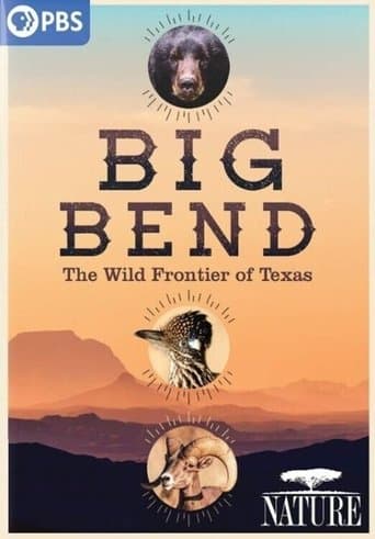 Movie poster for Big Bend: The Wild Frontier of Texas