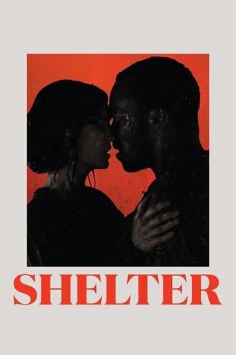 Movie poster for Shelter