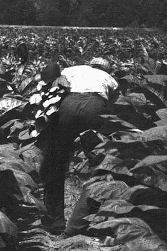 Movie poster for The Back-breaking Leaf