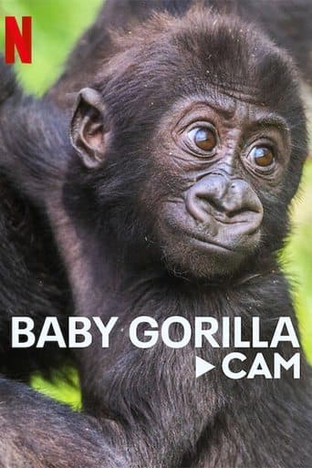 Movie poster for Baby Gorilla Cam