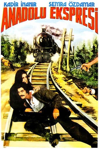Movie poster for Anadolu Ekspresi