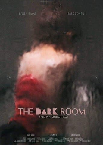 Movie poster for The Dark Room