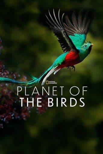 Movie poster for Planet of the Birds