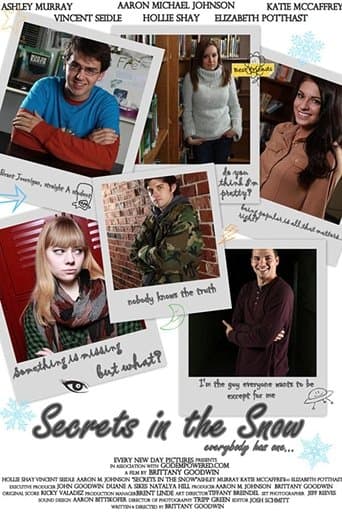 Movie poster for Secrets in the Snow