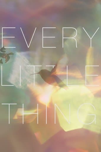 Movie poster for Every Little Thing