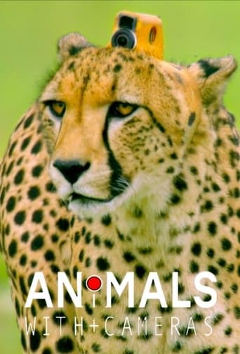 Movie poster for Animals with Cameras