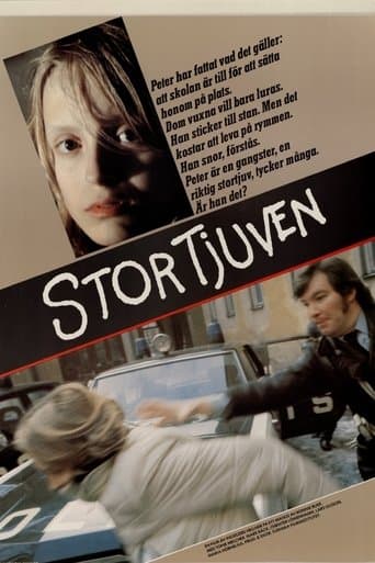 Movie poster for Stortjuven