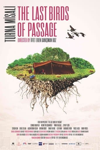 Movie poster for The Last Birds of Passage