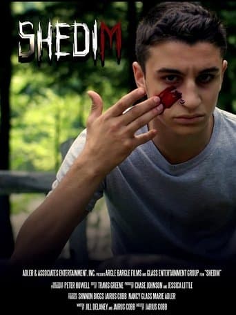 Movie poster for Shedim
