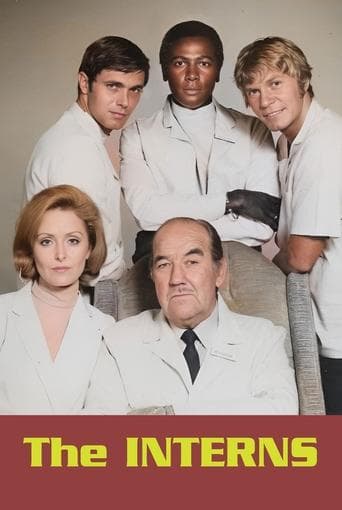 Movie poster for The Interns
