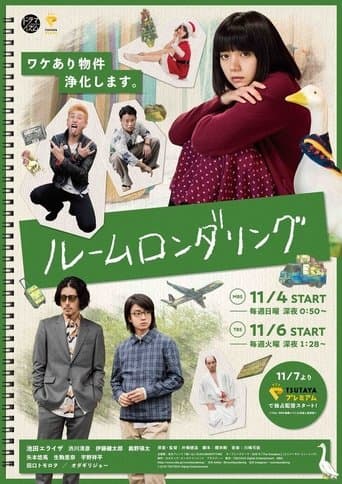 Movie poster for Room Laundering