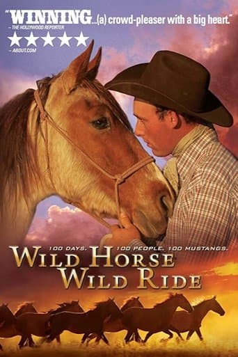 Movie poster for Wild Horse, Wild Ride