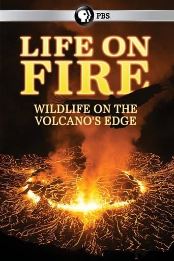 Movie poster for Life on Fire