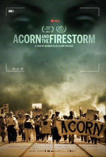 Movie poster for Acorn and the Firestorm