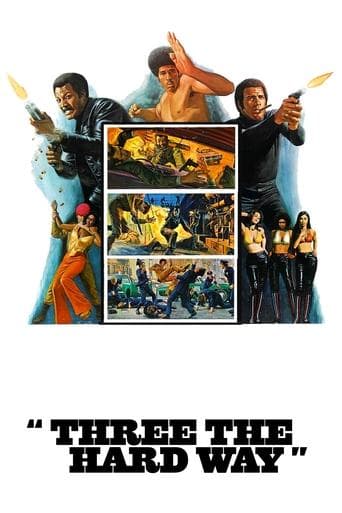 Movie poster for Three the Hard Way