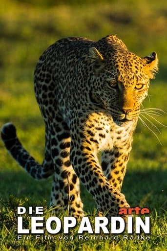 Movie poster for The Leopardess