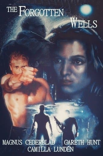Movie poster for The Forgotten Wells