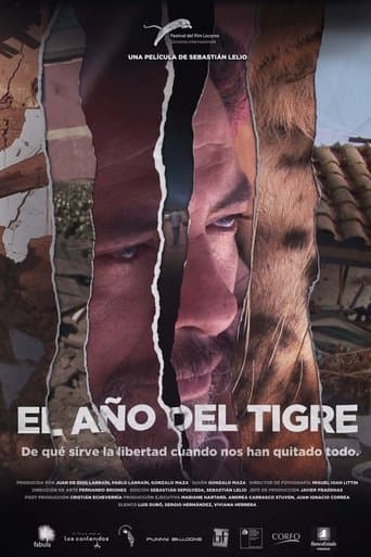 Movie poster for The Year of the Tiger