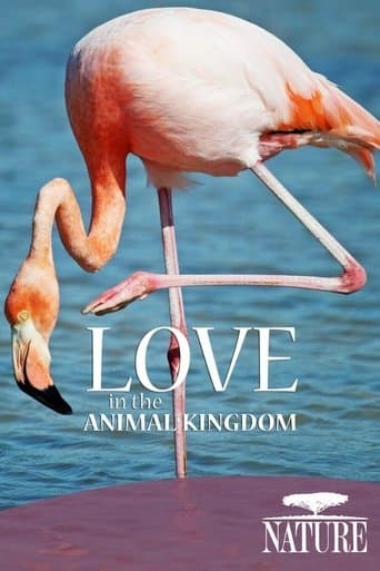 Movie poster for Nature: Love in the Animal Kingdom
