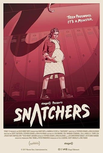 Movie poster for Snatchers