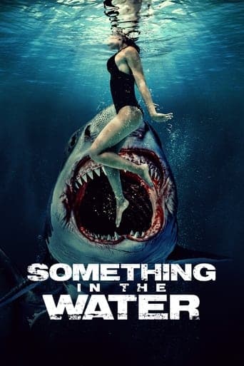 Movie poster for Something in the Water