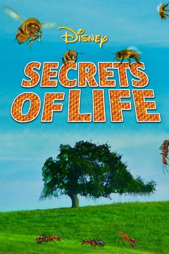 Movie poster for Secrets of Life