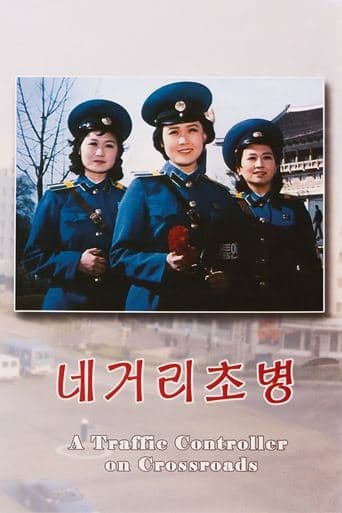 Movie poster for A Traffic Controller on Crossroads