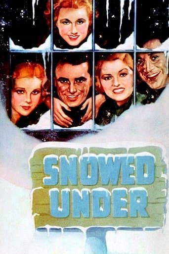 Movie poster for Snowed Under