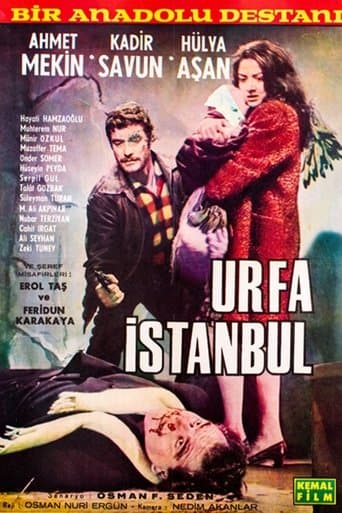 Movie poster for Urfa İstanbul