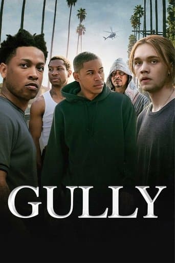 Movie poster for Gully