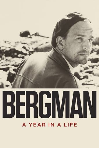 Movie poster for Bergman: A Year in a Life