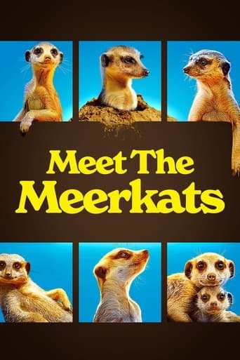 Movie poster for Meet The Meerkats