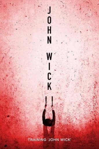 Movie poster for Training 'John Wick'