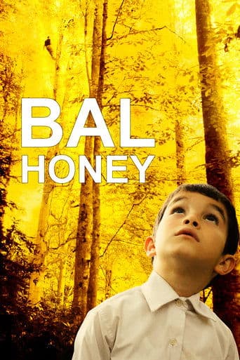 Movie poster for Honey