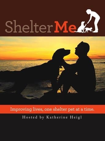 Movie poster for Shelter Me
