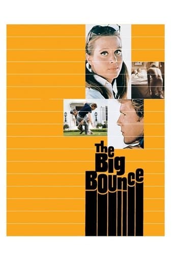 Movie poster for The Big Bounce