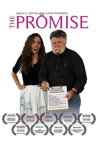 Movie poster for The Promise
