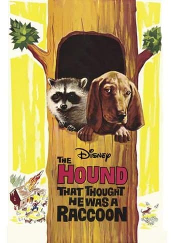 Movie poster for The Hound That Thought He Was a Raccoon