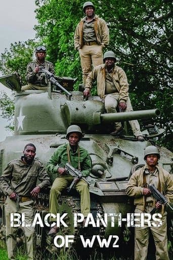 Movie poster for The Black Panthers of WW2