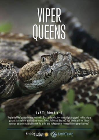 Movie poster for Viper Queens