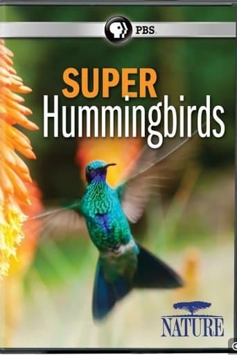 Movie poster for Super Hummingbirds