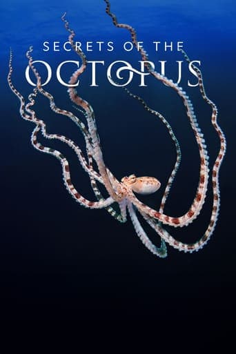 Movie poster for Secrets of the Octopus