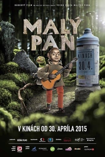 Movie poster for The Little Man