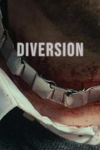 Movie poster for Diversion